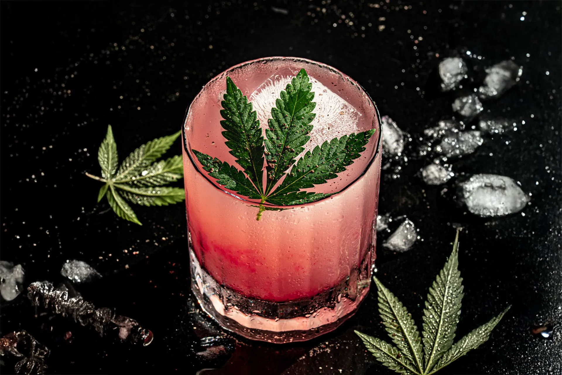 Why Is THCa Syrup Popular Among Cannabis Curious Adults?