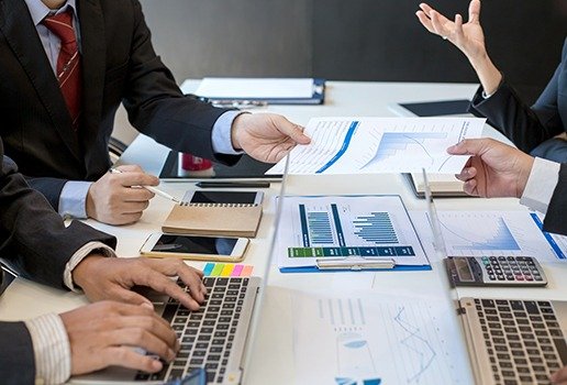 Professional Auditors